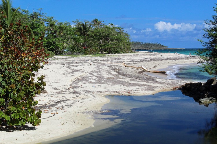 Playa Maguana